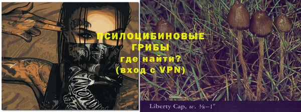 гидропоника Верхнеуральск