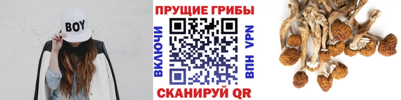 ссылка на мегу ТОР  Сочи  Псилоцибиновые грибы прущие грибы 